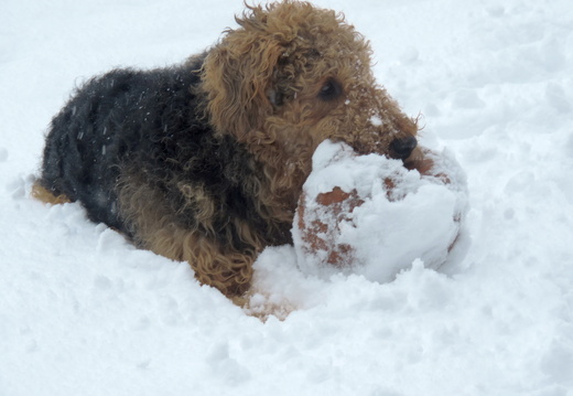 Winterimpressionen2026